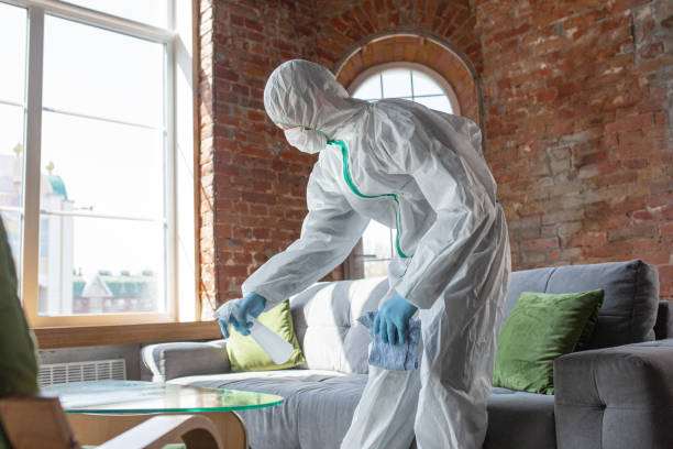 Best Mold Prevention Services  in Lester Prairie, MN